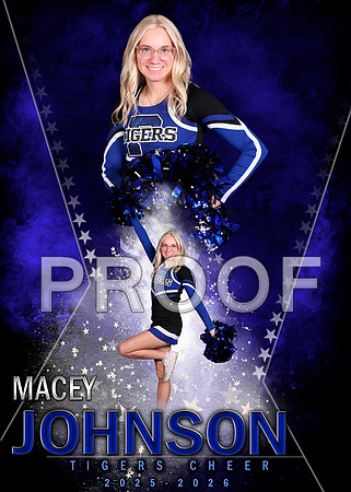 MVP Cheer Dance Pom Gymnastics Main Template