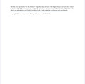 Copyright Release
